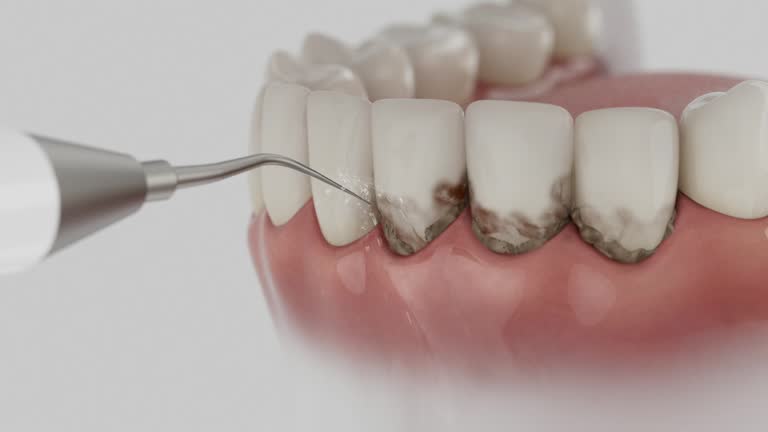 Reliable Dental contractor in Post Falls, ID by Dentist Open Now